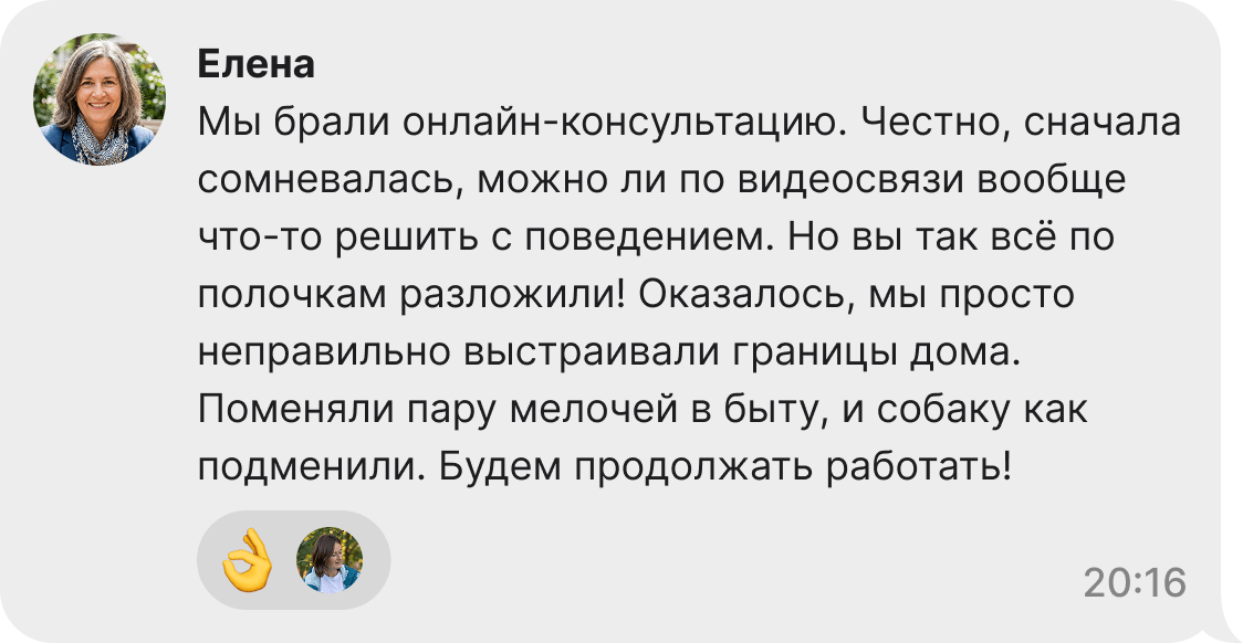Отзыв владельца о работе кинолога Аси Окорочковой: успешная коррекция поведения собаки
